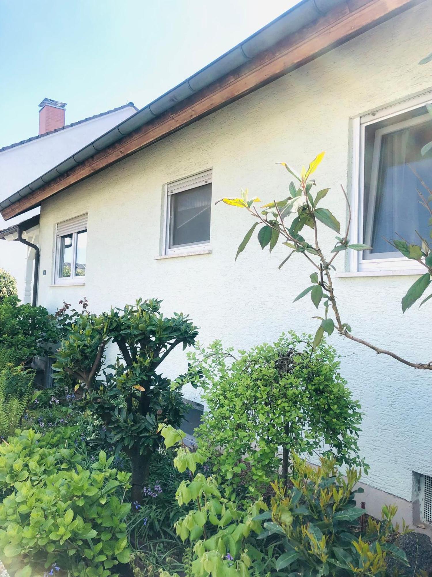 Ferienwohnung Feldmann Freckenfeld Exterior foto